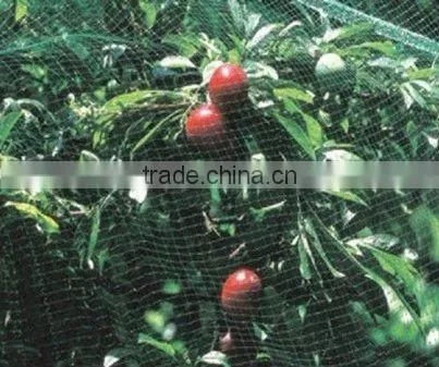 Anti Bird Net photo-2