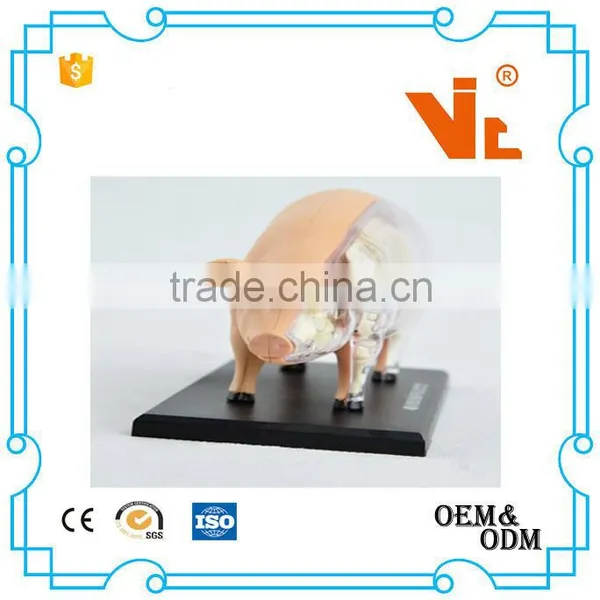 V-AM057 4D MASTER Pig Specimens Anatomical Model photo-3