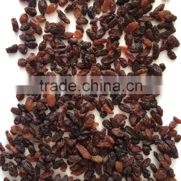 High Quality Dried Brown Sultana Raisin on Sale photo-3