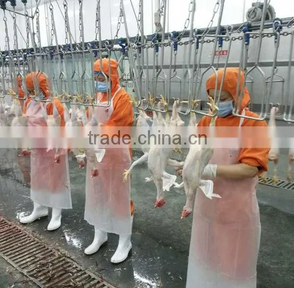 Poultry Slaughter House