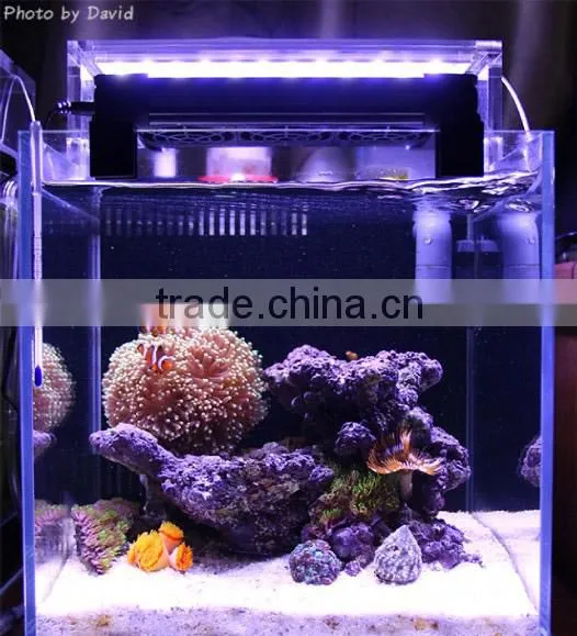 Distributors Wanted Chihiros Aquarium E-series Lighting Led System 329-5361 photo-5