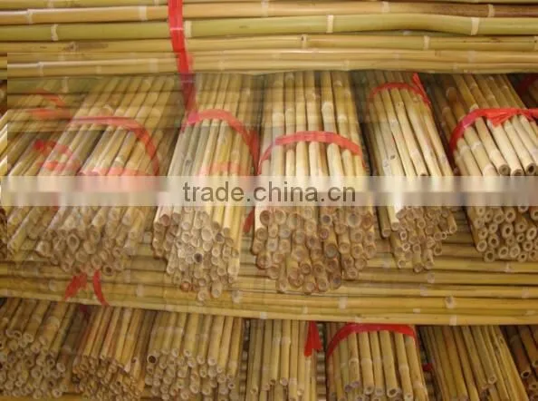 Good Quality Raw Bamboo Poles and Hot Sale Best Quality Hydroponic Bamboo Poles photo-6