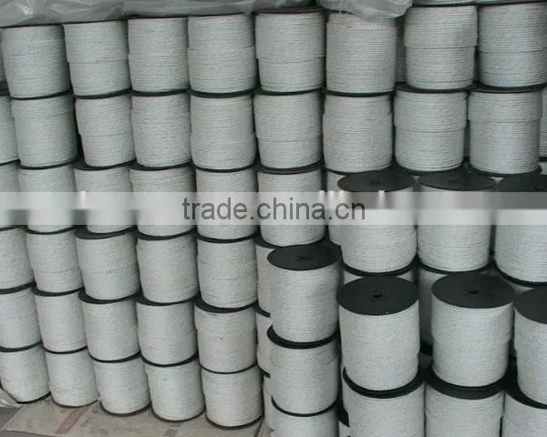 Hot Sale Twisted Poly Rope for Electric Fence photo-4