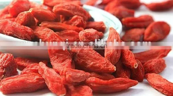 Goji/gojiberry photo-3