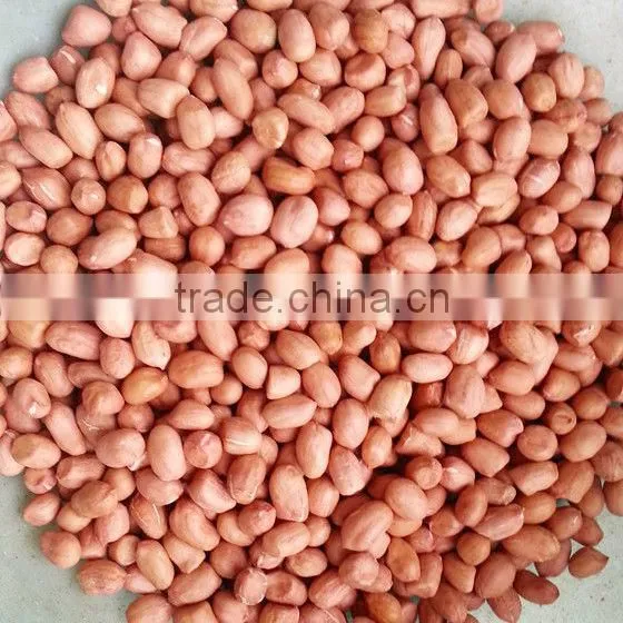 Chinese Round Shape Raw Ground Nut Kernels
