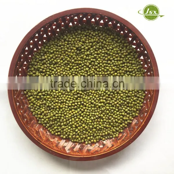 JSX in Vigna Beans Myanmar Pulses Dalian High Quality Export Green Beans