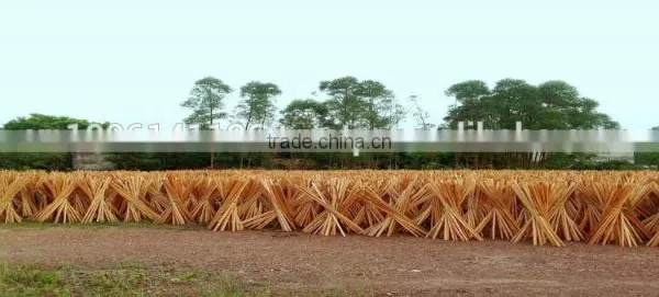 MADE IN VIETNAM HOT SALES IN EGYPT NATURAL WOODEN BROOM STICK photo-2
