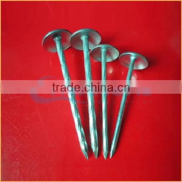 Top Quality Umbrella Head Screw Rod Roofing Nails Trusted Chuanghe Suppliers From Com photo-2