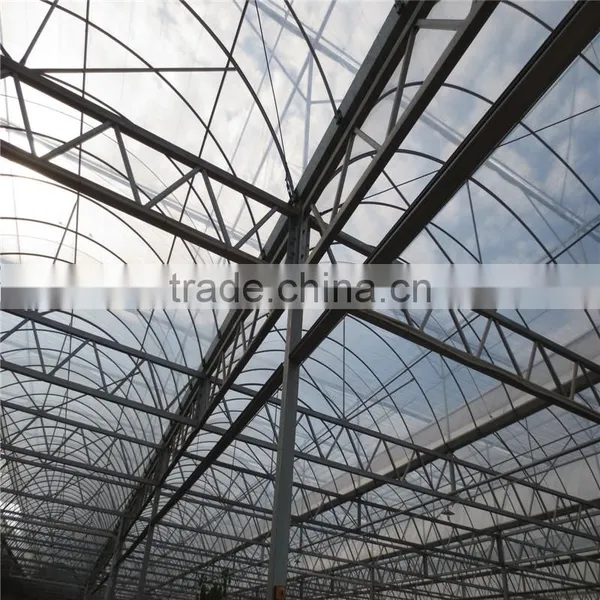 The Cheapest Hot Sale and Easily Installed Commercial Greenhouse photo-6