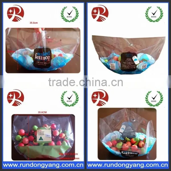 Plastic Fruit Packing Protection Bag With Air Holes photo-4