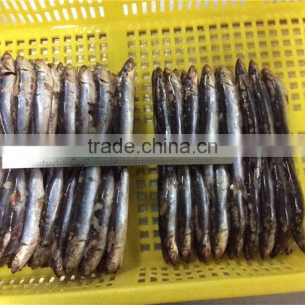 Good Quality Frozen Whole Anchovy photo-5