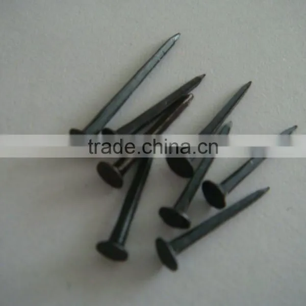 Cheap Price Wire Nails Shoe Nails Blue Tack Nails photo-2