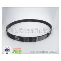 Poly v Belt photo-2