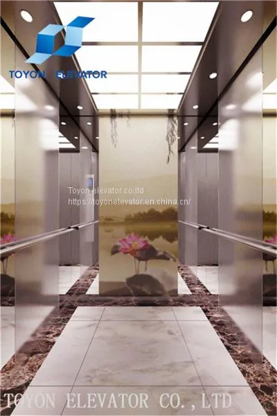 Toyon 630kg Load Automatic Passenger Elevator and Passenger Lifti Lift Elevator for Home Elevatorevator