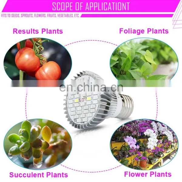 Smart 10W 30W 50W 80W Full Spectrum Led COB Plant Flower Grow Hydroponics Lamp Light photo-5