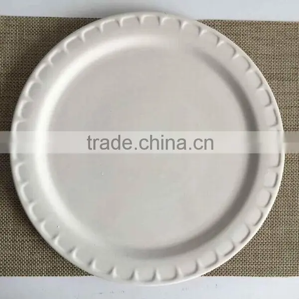 HOT SALE 13inch Ceramic Pizza Plate photo-2