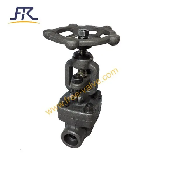 Socked Welding Type Globe Valve photo-2