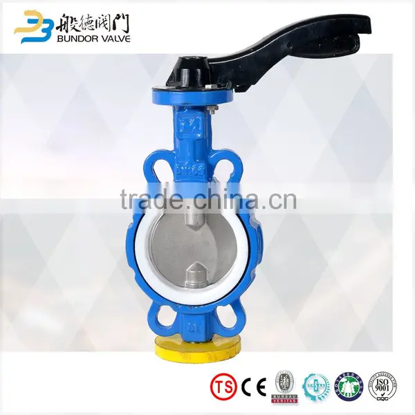 Manual Api Standard Wafer Type Double Stem Butterfly Valve Manufacturers photo-4