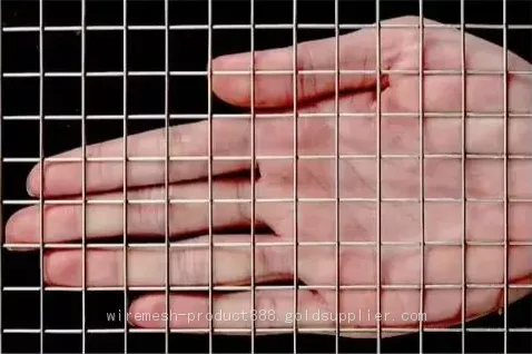 High Quality Galvanized Iron Welded Wire Mesh Panel photo-4