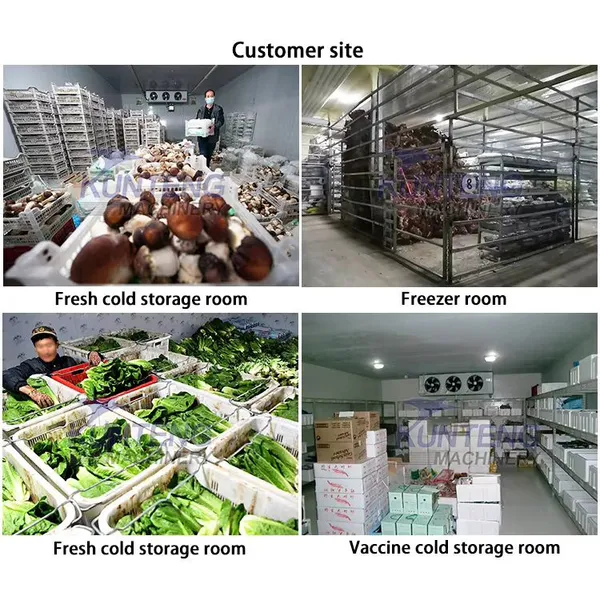 Customizable Mushrooms Fish Tomatoes Apples Fresh Flowers Onions Walk-in Cold Storage photo-4