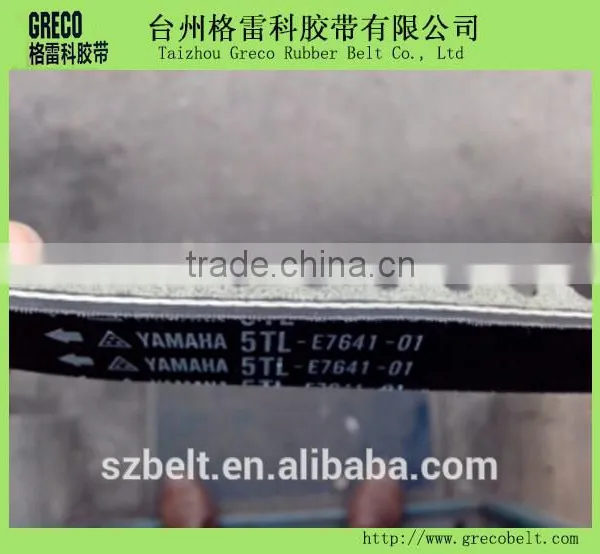 YAMAHA Automotive v Belt