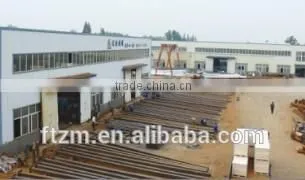 Best Design & High Quality 3~15M Double or Single Arm Street Light Pole photo-3