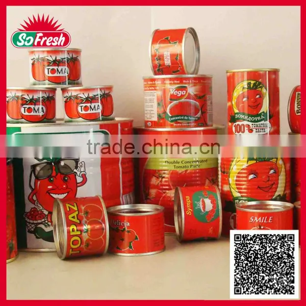 Tinned and Plastic Packed Canned Tomato Sacue photo-3