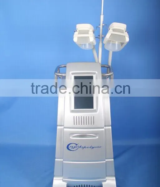New Updated Criolipolysis Fat Freeze Slimming Machine With 3 Different Size Handles photo-2