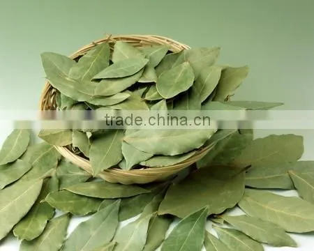 High Quality Laurel Leaf Soap