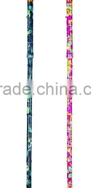 Nordic Walking Stick