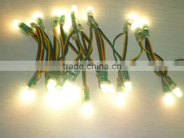 Express Mini Black Led String photo-3