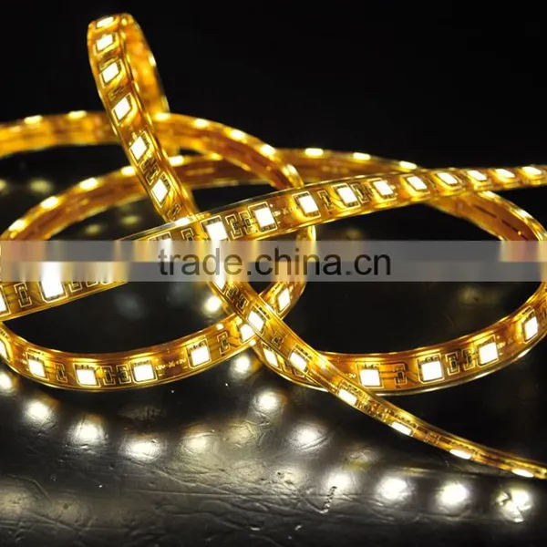 2016 China Supplier Chirstmas Room Outdoor Skating Rink Decoration Meteor Show Led Strip Light SMD 5050 photo-2