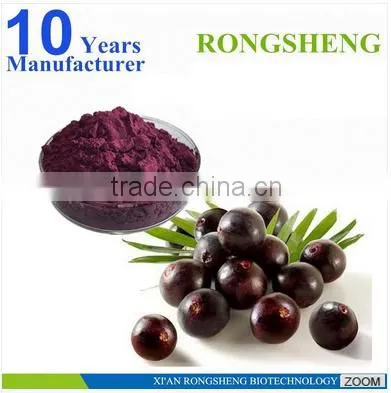 Hot Sale Freeze Dried Powder Organic Acai Berry photo-5