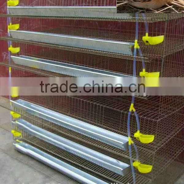 Galvanized Battery Quail Cage for photo-2