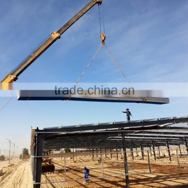 Steel Structrue Plant photo-3