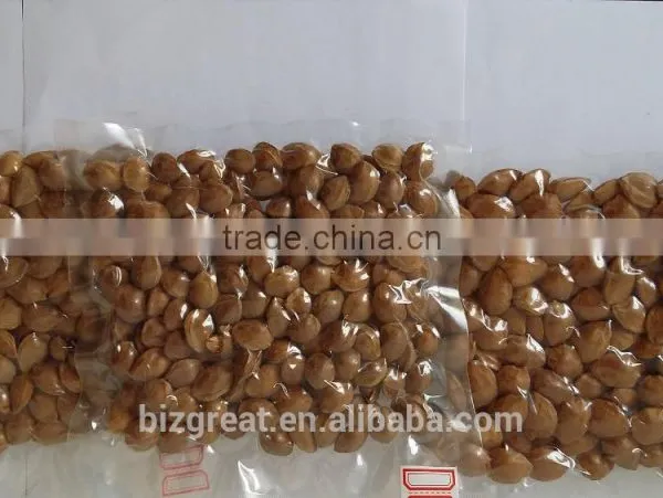 Supply With Chinese Bulk Roasted Apricot Kernels in Shell photo-4