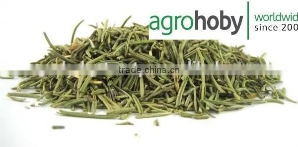 Turkish Rosemary , Cheap Rosemary , Rosemary Price , High Oil Rosemary ,dried Rosemary Leaves photo-2
