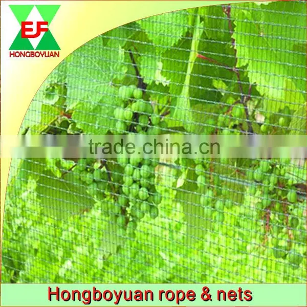 quality guaranteed hdpe bird catching net