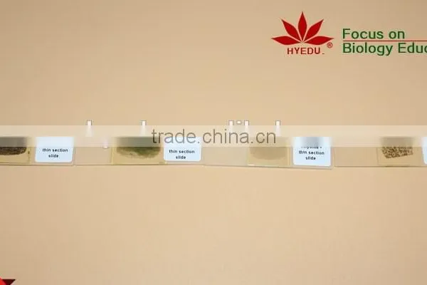 100pcs Geographical Mineral Rock Powder Slides Set photo-3