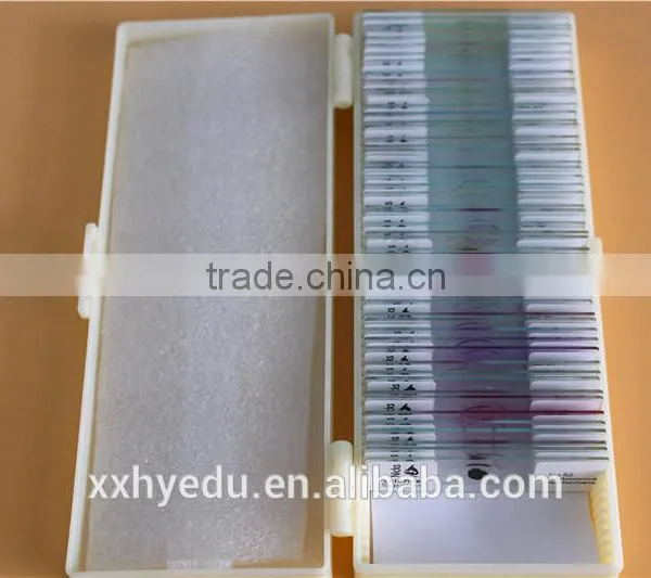 Lab Microscope Prepared Slides , Glass 52kinds Bacterial Prepared Slides,science Prepared Slides photo-5