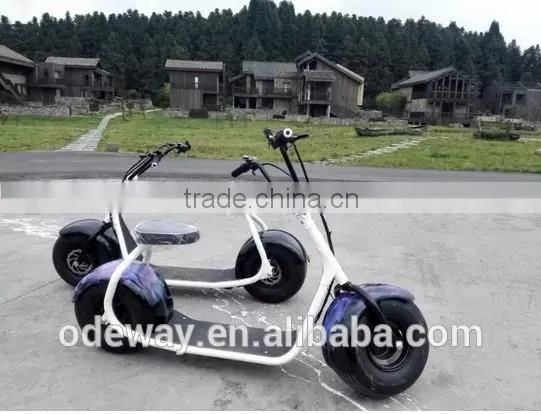 Two Wheels Harley Style Cool Sport Electric Scooter/Motorbike Citycoco photo-4
