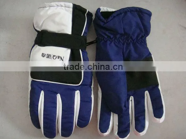 Ski Glove
