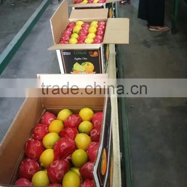 Lemon for Sale photo-3