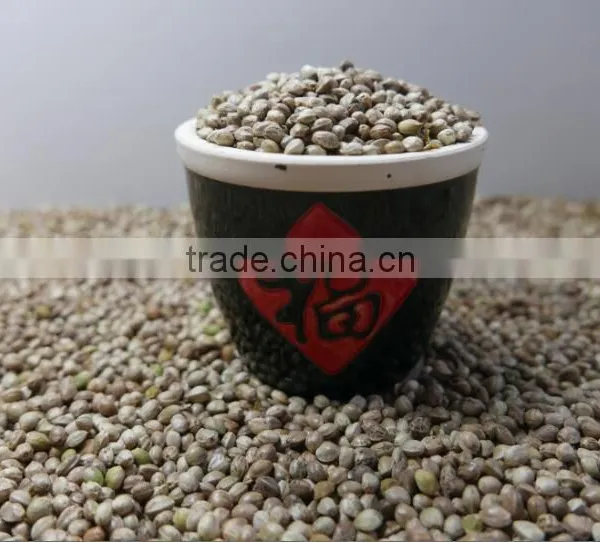 Hemp Seeds With High Quality 2016 Crop photo-2