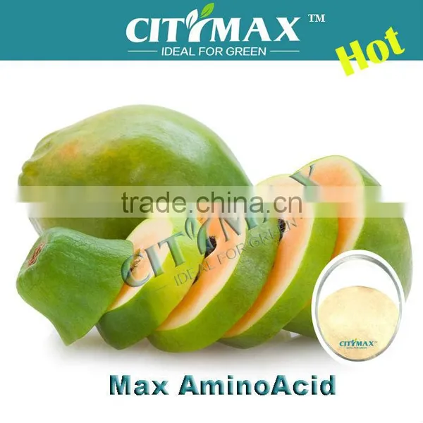 Fine Powder of Amine Acid