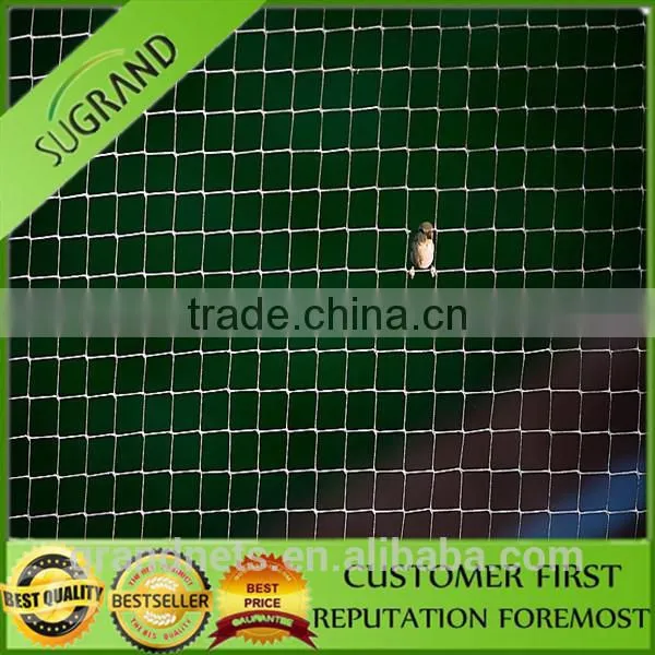 100% New HDPE Nylon Bird Nets for Catch Birds Anti Bird Netting for Sale photo-6