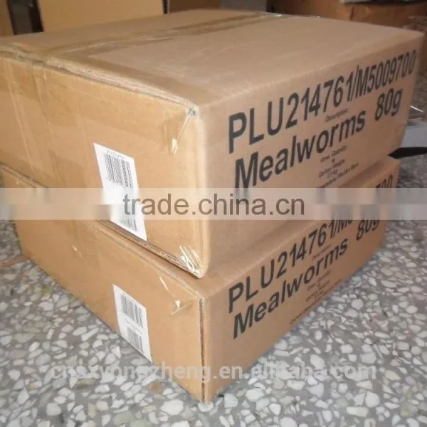 FDA Certification Tenebrio Molitors photo-4