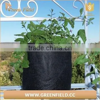 Available Non Woven Hanging Planter Grow Bag China Supplier photo-5