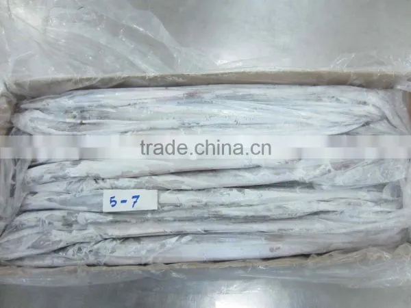 Frozen Belt Fish photo-3