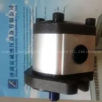 Gear Pump, Gear Oil Pump, Hydraulic Oil Pump